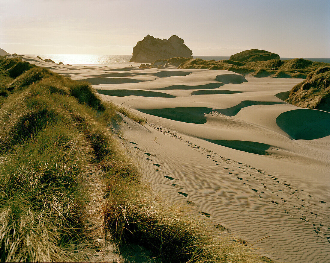 Blick auf Fußspuren auf Wanderdünen und Sandstrand im Sonnenlicht, Wharariki Beach, Nordwestküste, Südinsel, Neuseeland