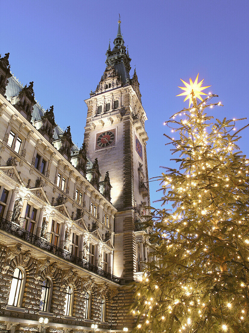 Christmas tree in front of the town hall, Hamburg, Germany