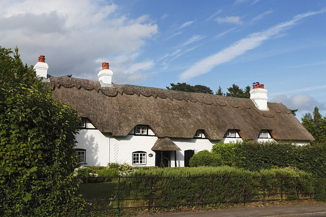 Cottage, Lyndhurst, New Forest, Hampshire, England, United Kingdom
