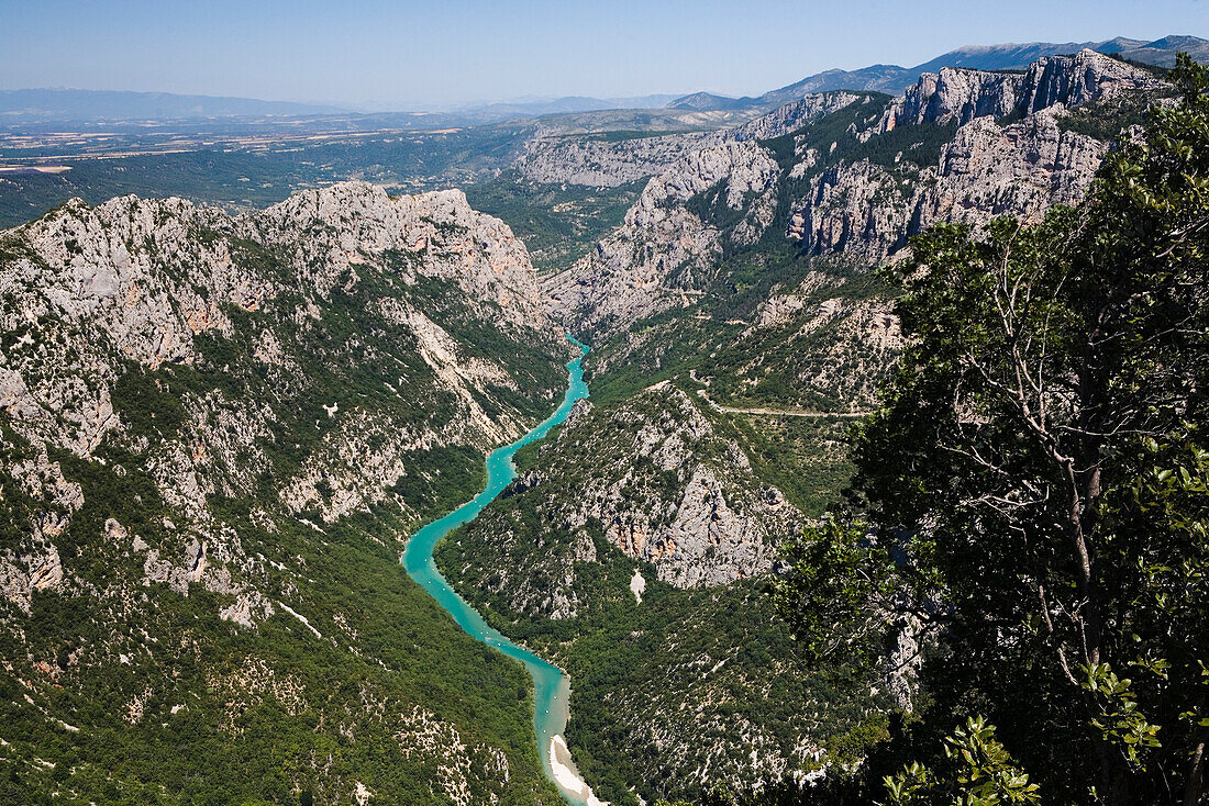 Grand Canyon du Verdon, Blick auf die Verdonschlucht und den Fluss Verdon, Alpes-de-Haute-Provence, Provence, Frankreich