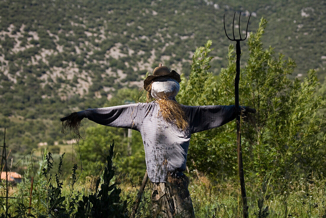 Einsame Vogelscheuche mit Mistgabel, Luberon Gebirge, Vaucluse, Provence, Frankreich
