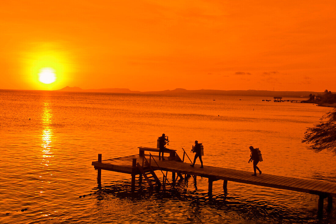 West Indies, Bonaire, sunset, pier, diver near Captain Don s Habitat, diving resort