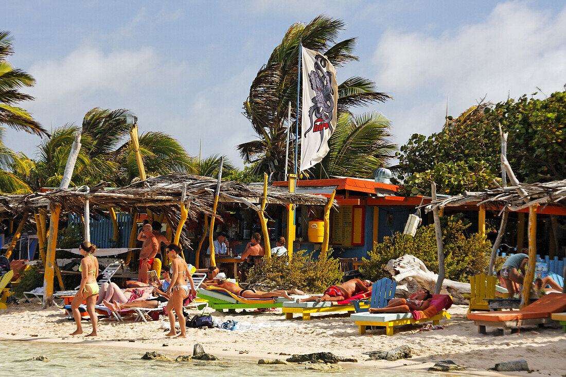 West Indies, Bonaire, Lac Bay Surfer … – License image – 70215623 ...