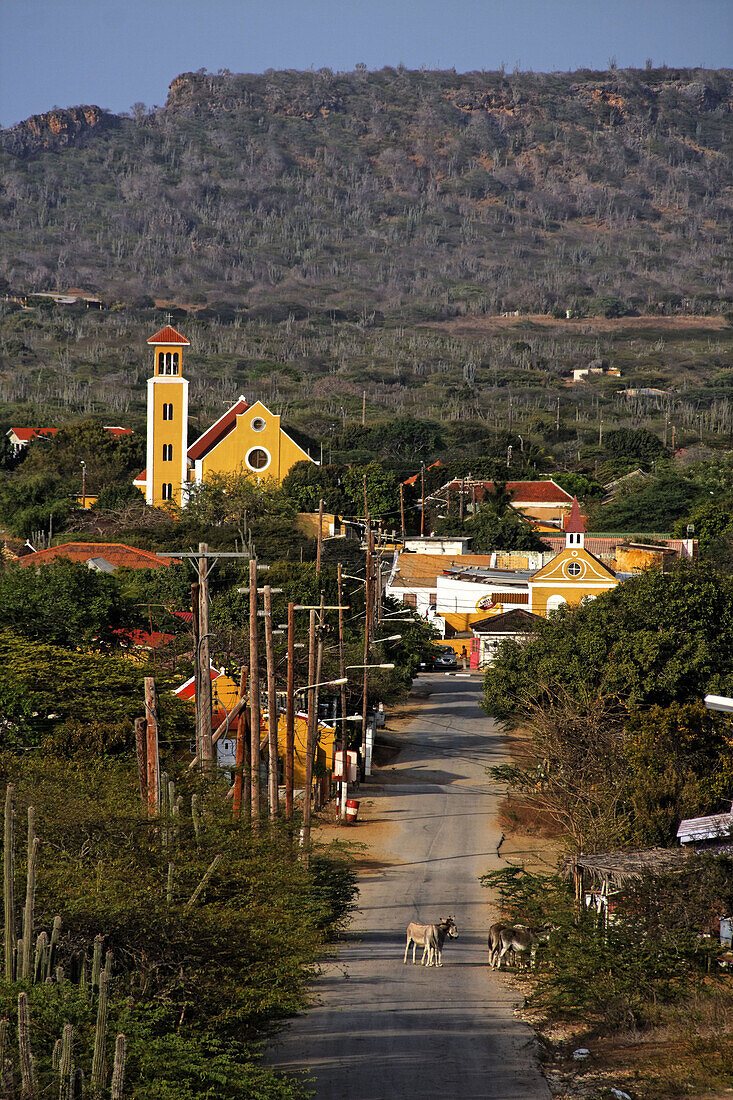 West Indies, Bonaire, Rincon, church