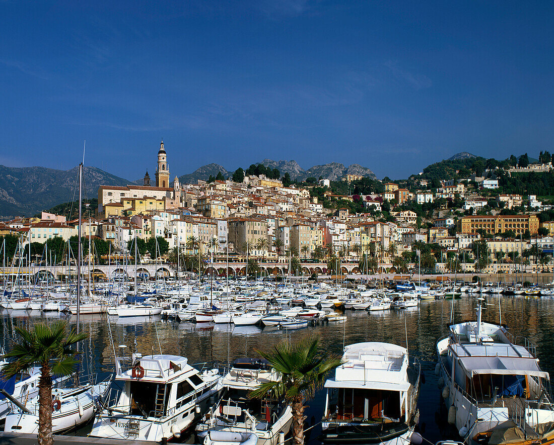 French Riviera, Menton