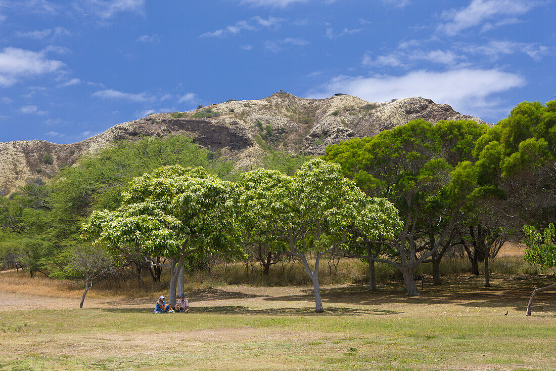 Vegetation am Diamond Head Vulkankrater, Oahu, Pazifik, Hawaii, USA