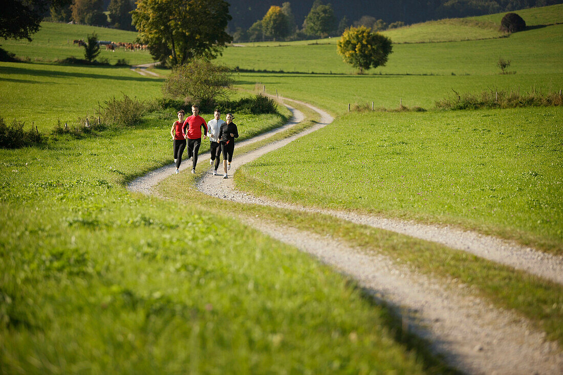Vier Läufer joggen über Feldweg, Münsing, Bayern, Deutschland