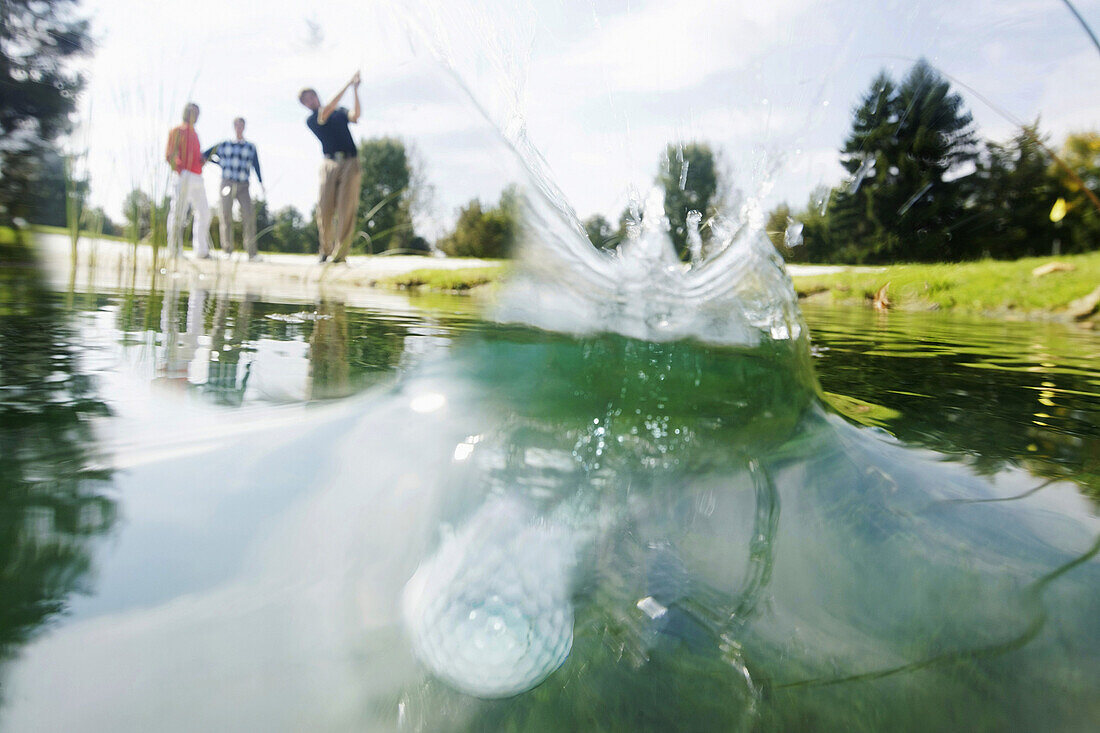 Golfball im Teich, Straßlach-Dingharting, Bayern, Deutschland