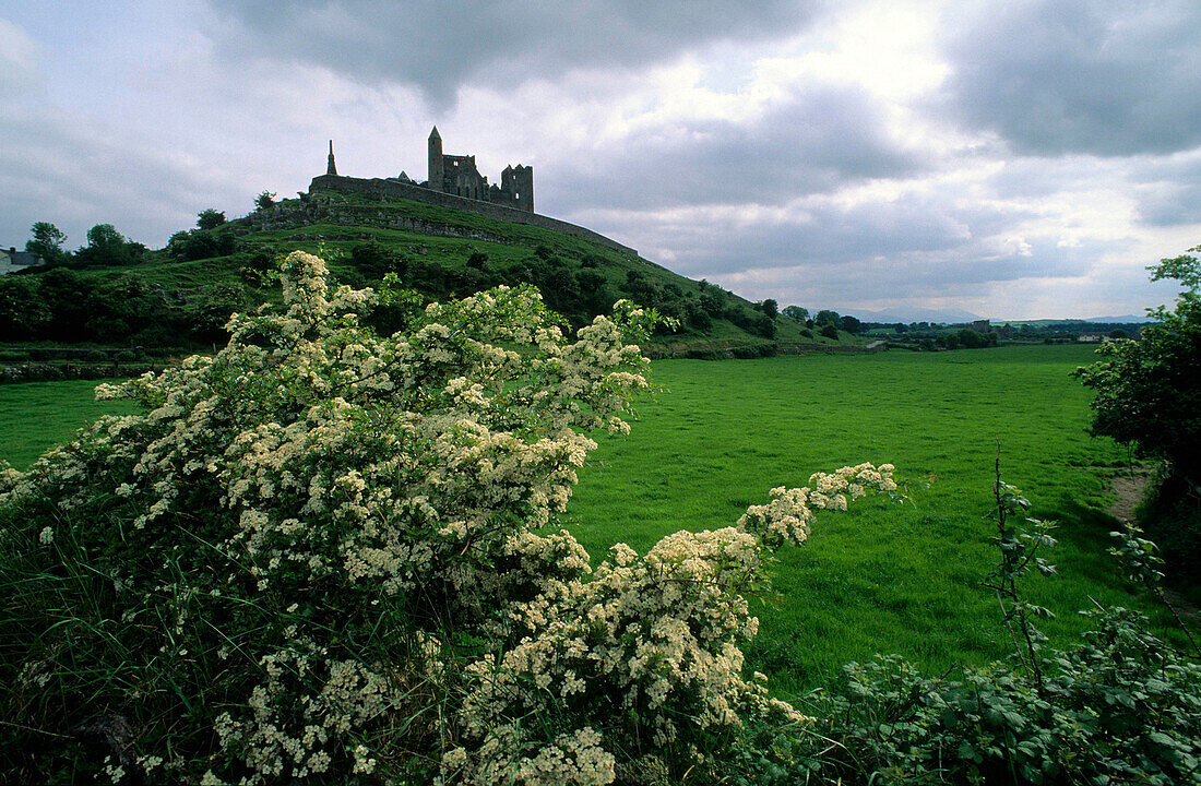 Europa, Großbritannien, Irland,  Co. Tipperary, Rock of Cashel bei Cahir