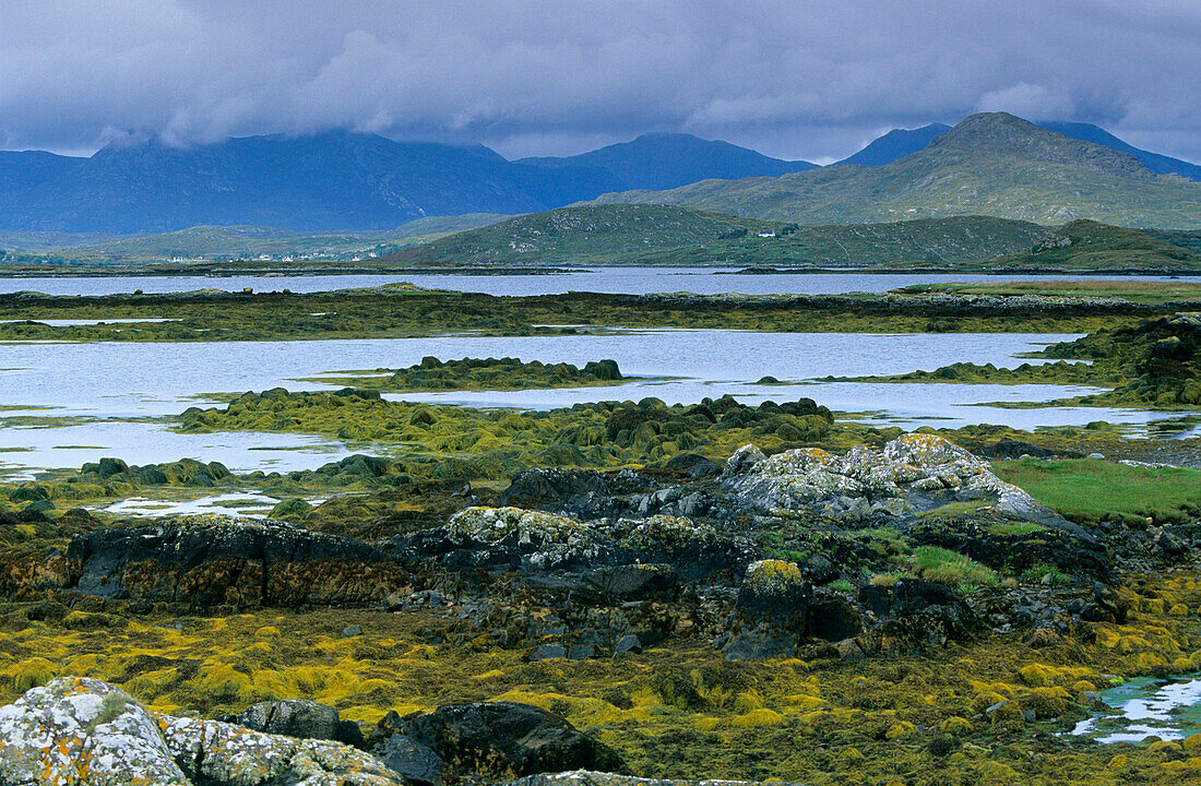 Europe, Great Britain, Ireland, Co. Galway, Connemara, Betraghboy Bay