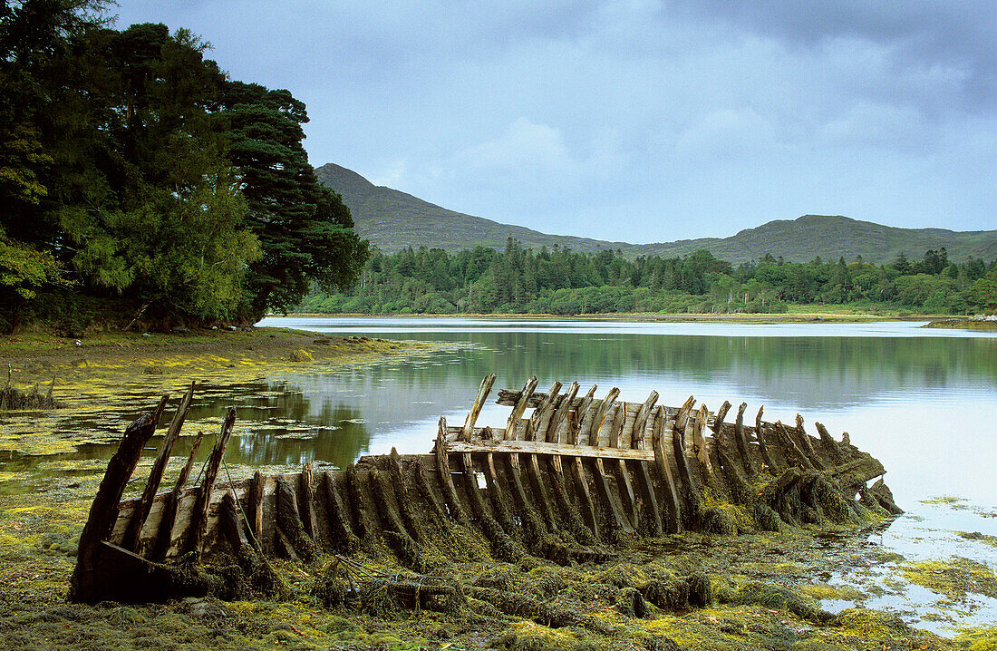 Europe, Great Britain, Ireland, Co. Kerry, Ring of Beara, ship's wreck