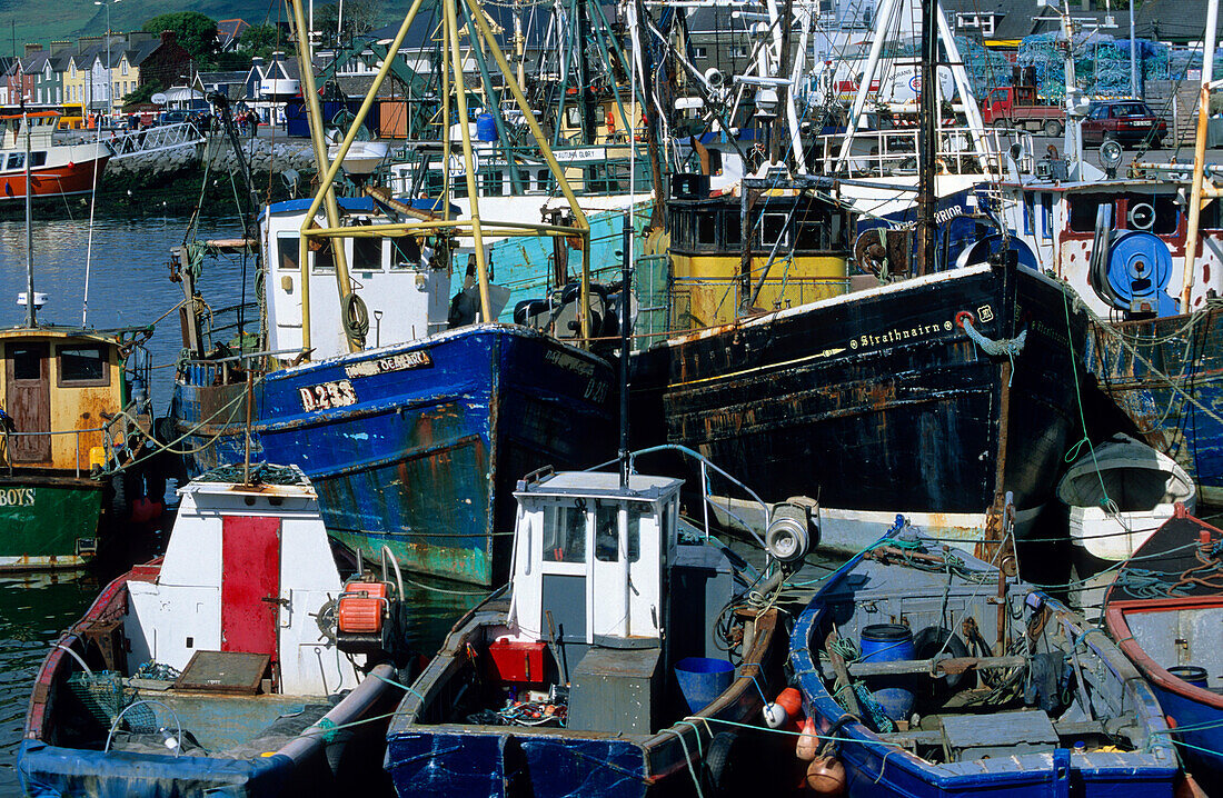 Europa, Großbritannien, Irland, Co. Kerry, Halbinsel Dingle, Hafen von Dingle