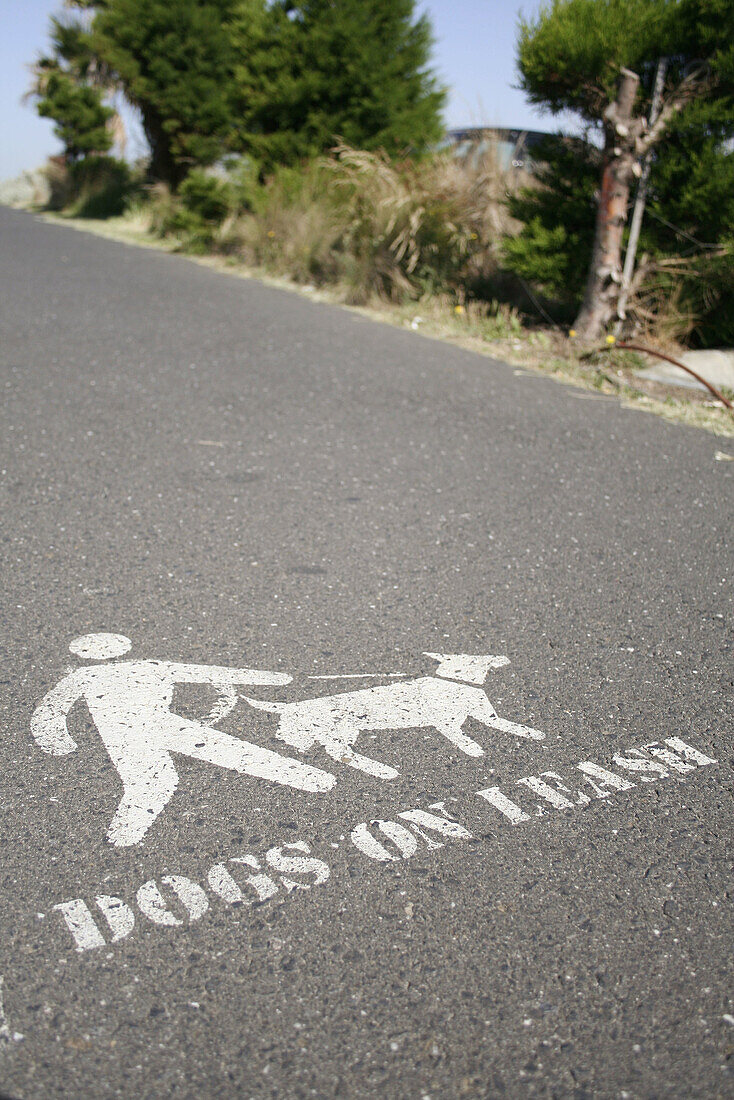 Ground mark: dogs on leash, beach promenade, St Kilda, Melbourne, Victoria, Australia