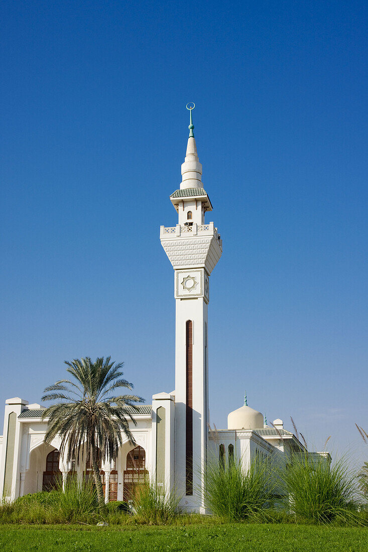 Middle east, Qatar, Al Wakrah port mosque