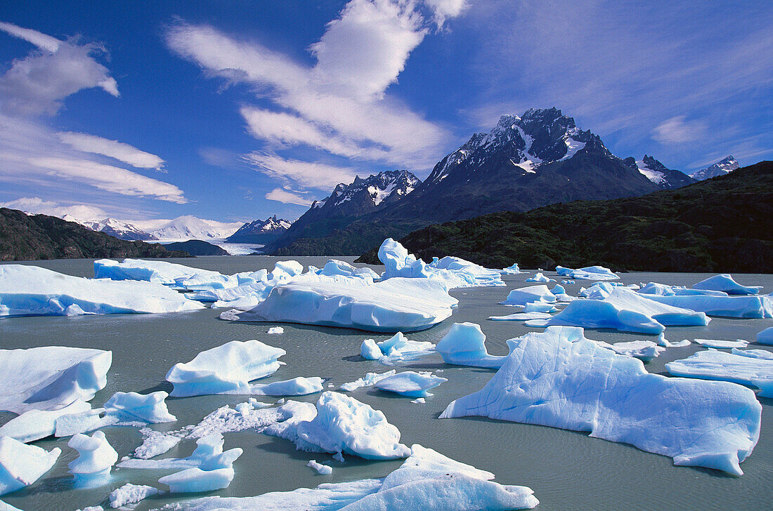 Glacial blue ice of Grey Glacier, Torres del Paine National Park. Chile