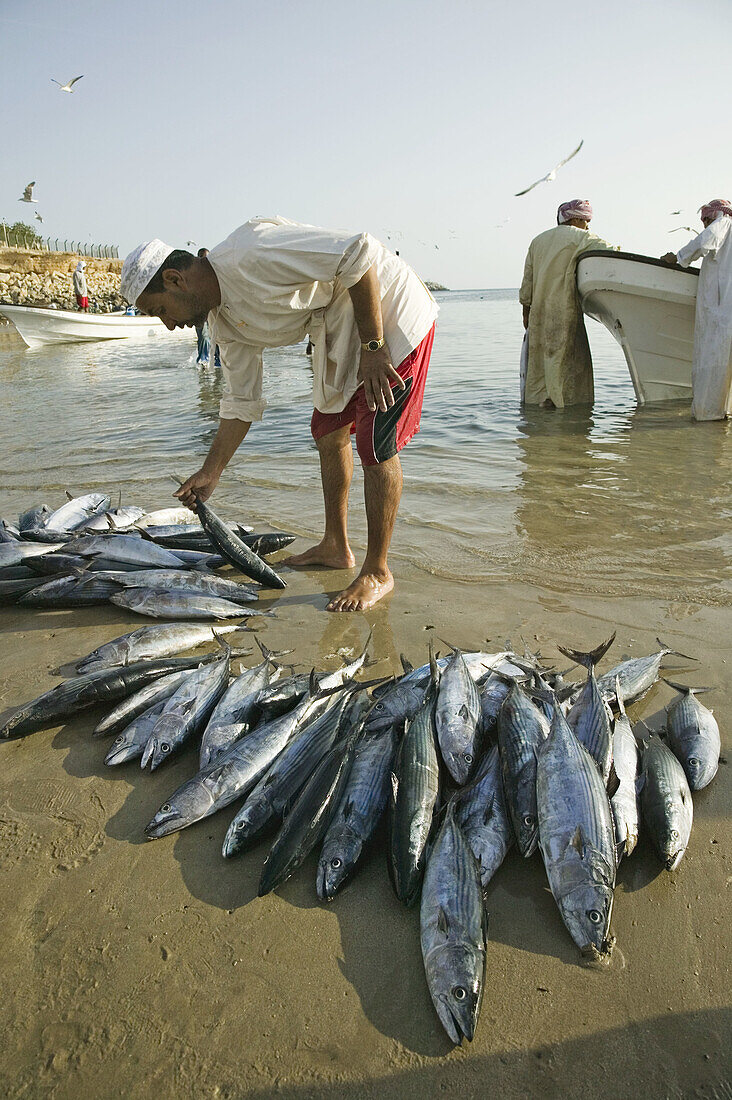 OMAN-Sharqiya Region-Sur: Fishermen on Sur Corniche / Morning
