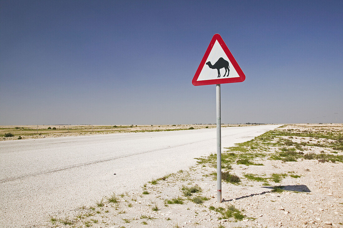 QATAR-Al-Zubara: Camel Crossing Sign-Road to Al-Zubar NW Qatar