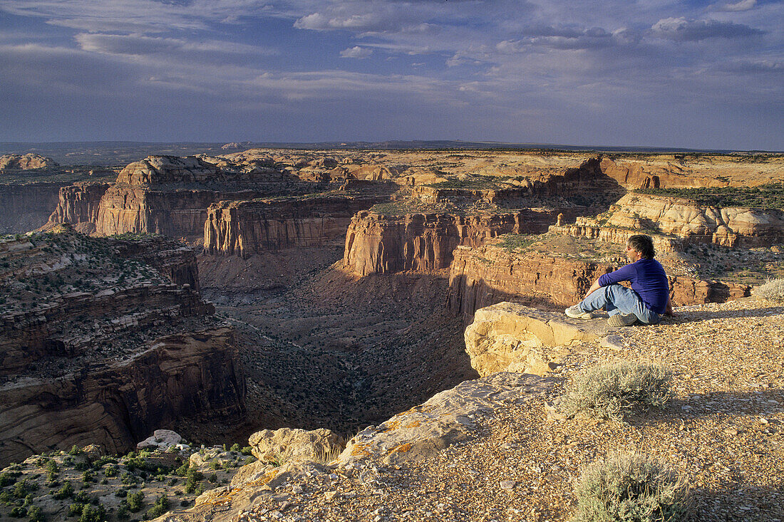 Looking over Trail Canyon from atop Aztec Butte, Island in the Sky District, Canyonlands National Park, Utah, USA