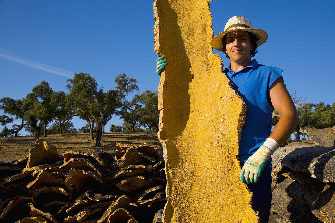 Harvesting cork. Badajoz, Extremadura, Spain.