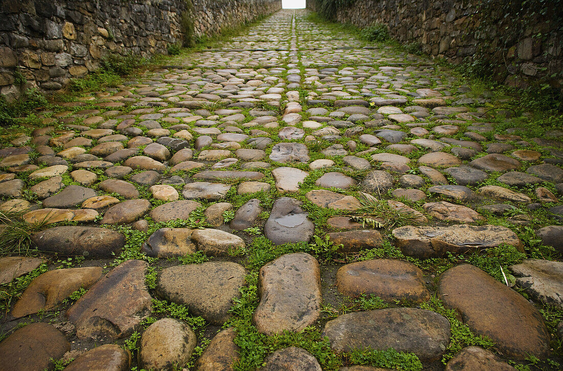 Medieval bridge on the Sella river. Paved road. Cangas de Onís. Picos de Europa. Asturias. Spain.