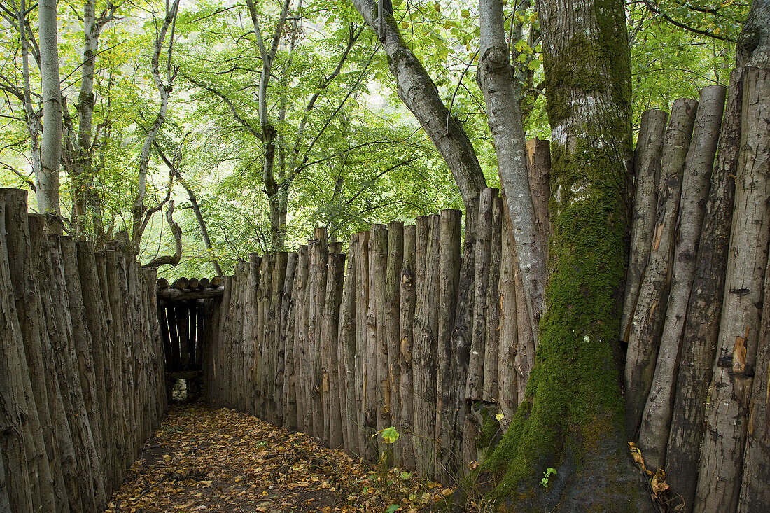 Old den. Picos de Europa National Park, León province, Castilla-León, Spain