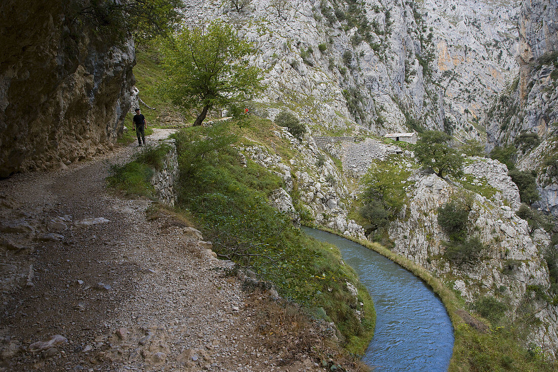 Cares Canyon. Picos de Europa National Park, León province, Castilla-León, Spain