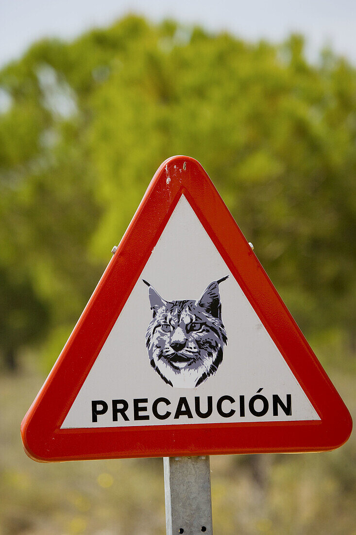 Lynx roadsign in Doñana National Park, Huelva province, Andalucia, Spain.