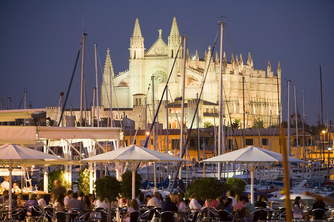 Kathedrale La Seu, Palma de Mallorca. Mallorca, Balearische Inseln. Spanien