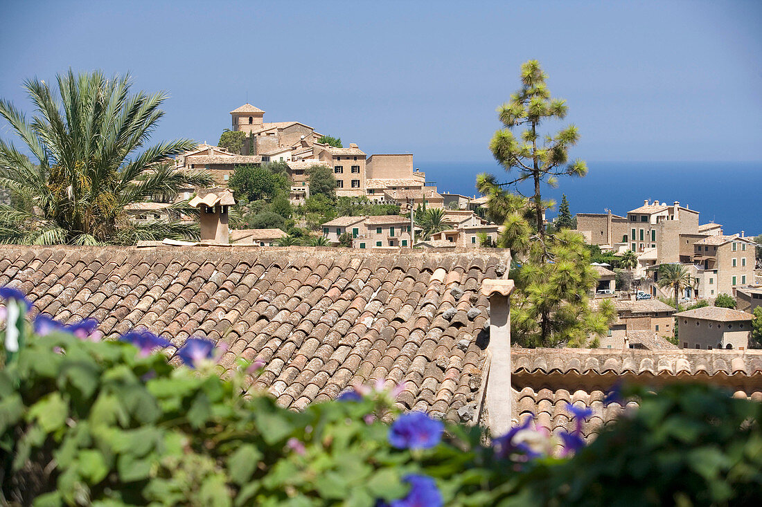 Deià, Majorca. Balearic Islands. Spain