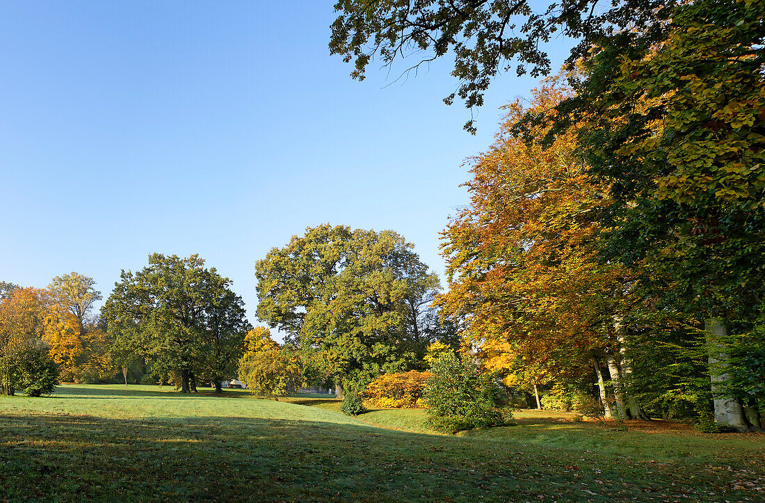 Branitzer Park, Cottbus, Land Brandenburg, Deutschland