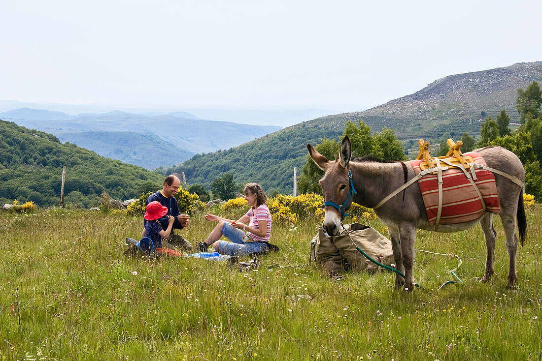 Familie während einer Pause bei einer Eselwanderung in den Cevennen, Frankreich