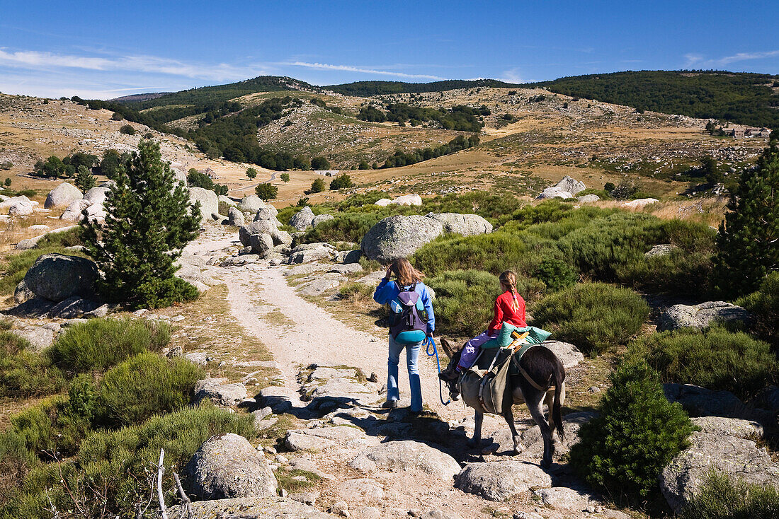 Mother and daughter are family-hiking with a donkey in the Cevennes mountains, France