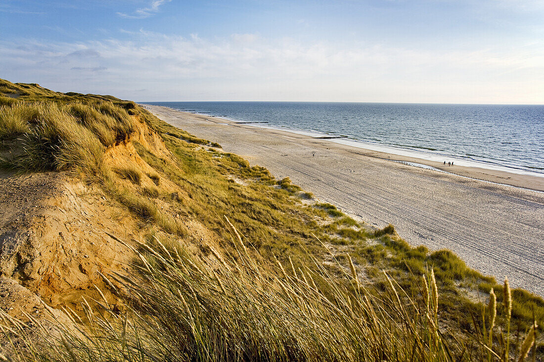 Blick vom Roten Kliff auf die Nordsee, Kampen, Sylt, Schleswig-Holstein, Deutschland