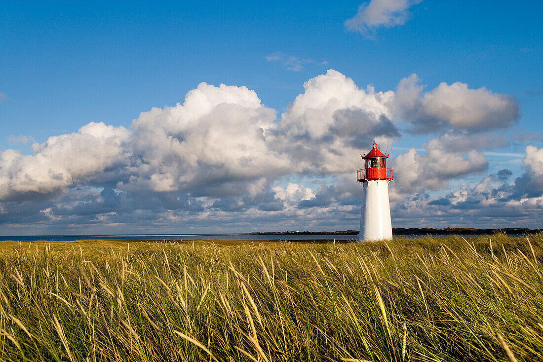 Lighthouse List-West, Ellenbogen, Sylt Island, North Frisian Islands, Schleswig-Holstein, Germany