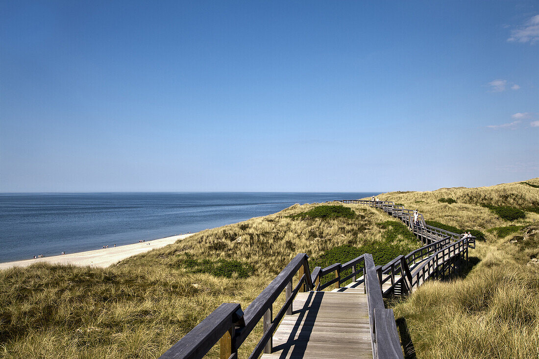 Wooden path beween dunes, Wenningstedt, Sylt Island, Schleswig-Holstein, Germany