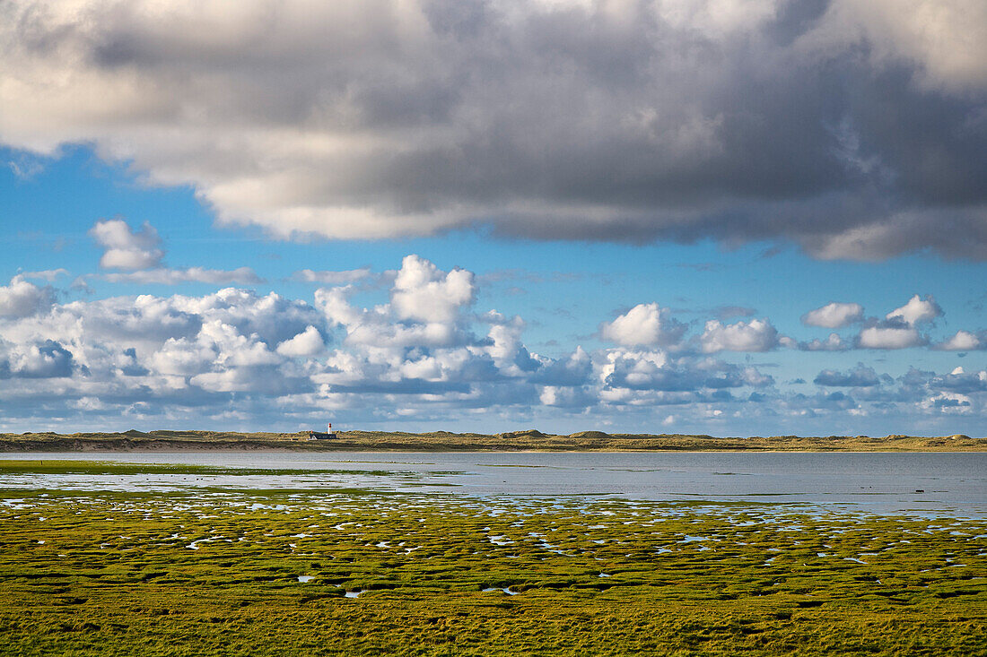 Landscape on Ellenbogen, Sylt Island, North Frisian Islands, Schleswig-Holstein, Germany