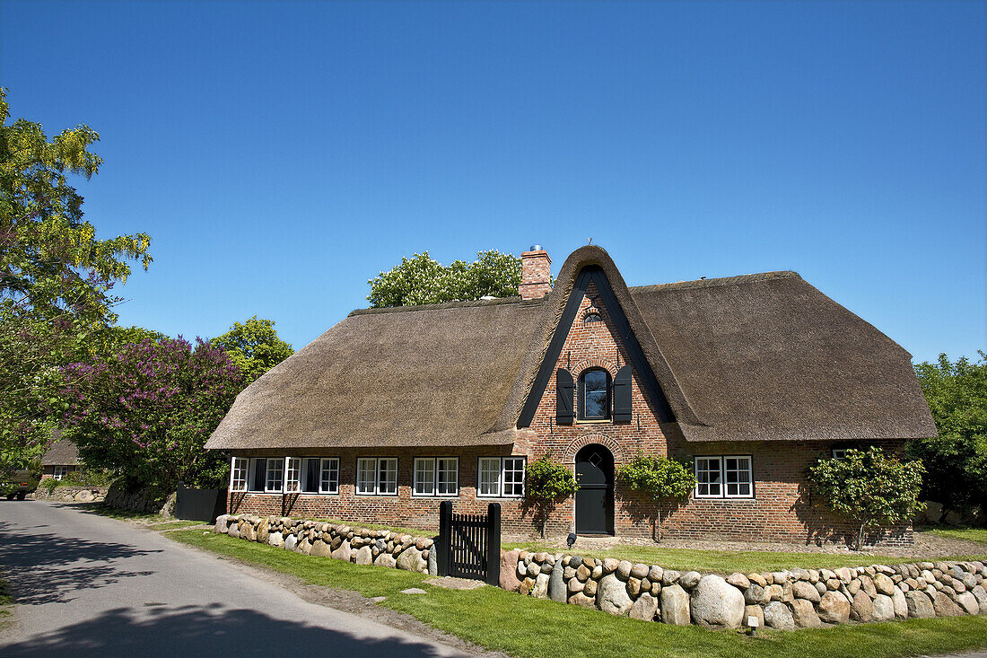 Thatched house, Keitum, Sylt Island, Schleswig-Holstein, Germany