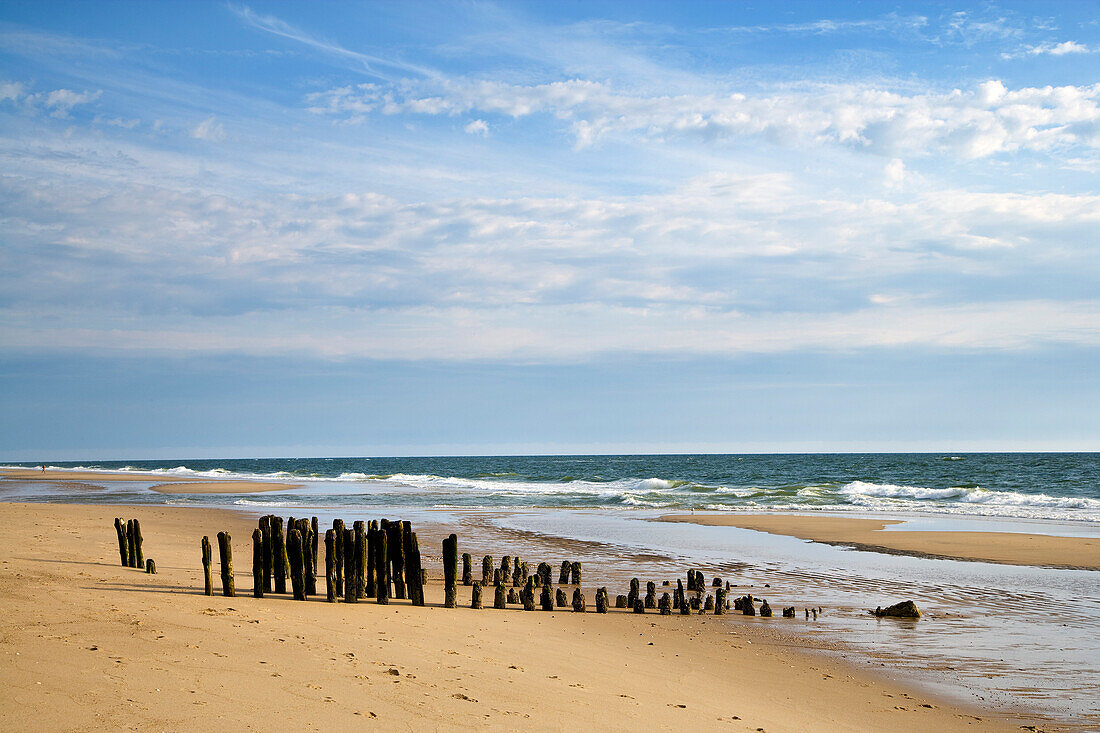 Buhnen am Strand, Rantum, Sylt, Nordfriesland, Schleswig-Holstein, Deutschland