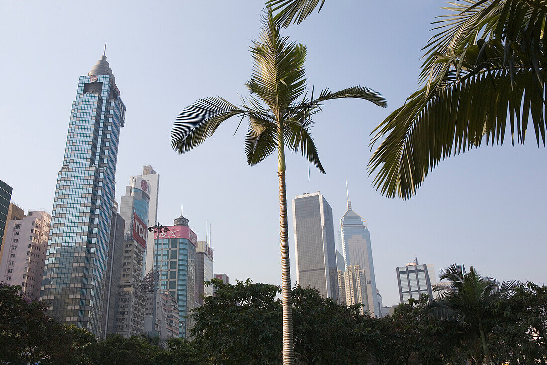 Hochhäuser auf Hong Kong Island, Causeway Bay, Hong Kong, China, Asien