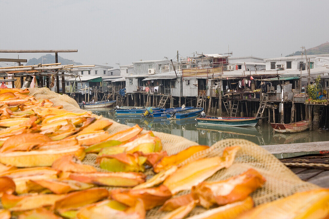 Getrockneter Fisch im Fischerdorf Tai O auf der Insel Lantau, Hong Kong, China, Asien