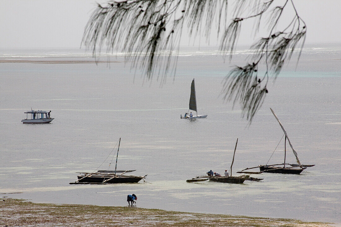 Fishing boats and sailing boats off Shanzu Beach, Mombasa, Kenya, Africa