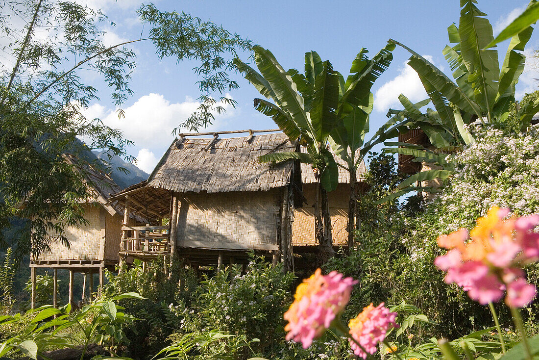Hütten auf Stelzen hinter Blumen und Bäumen, Fischerdorf Muang Ngoi Kao, Provinz Luang Prabang, Laos