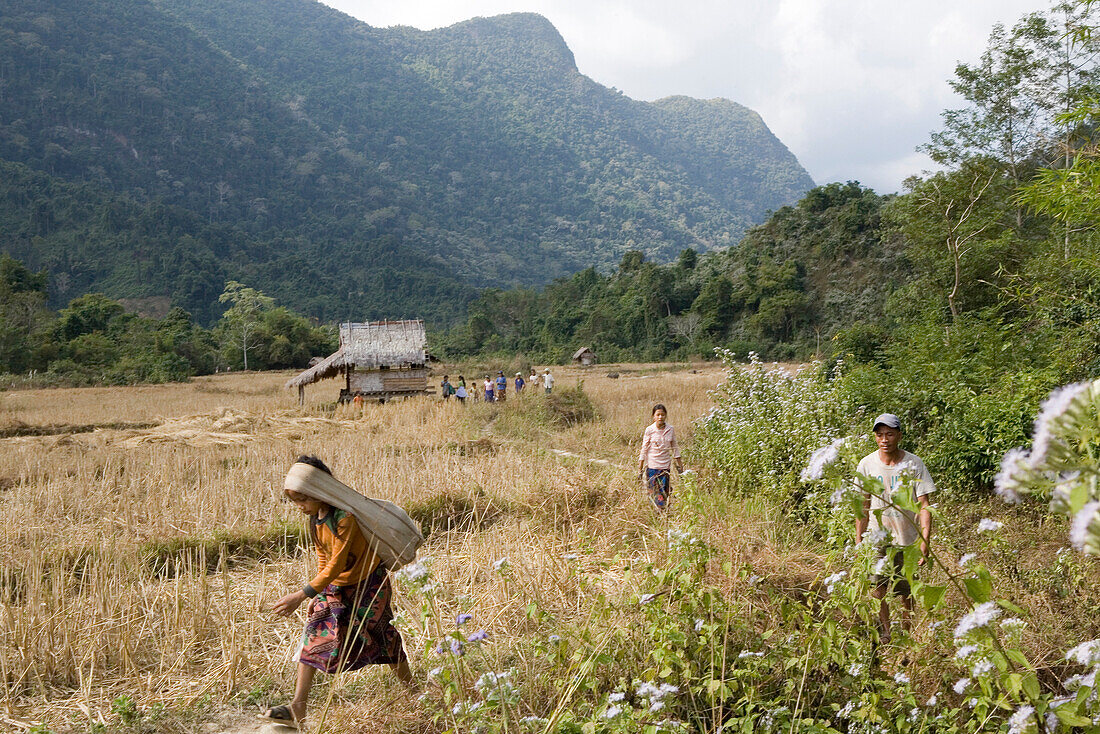 Menschen gehen durch Felder vor Bergen, Provinz Luang Prabang, Laos