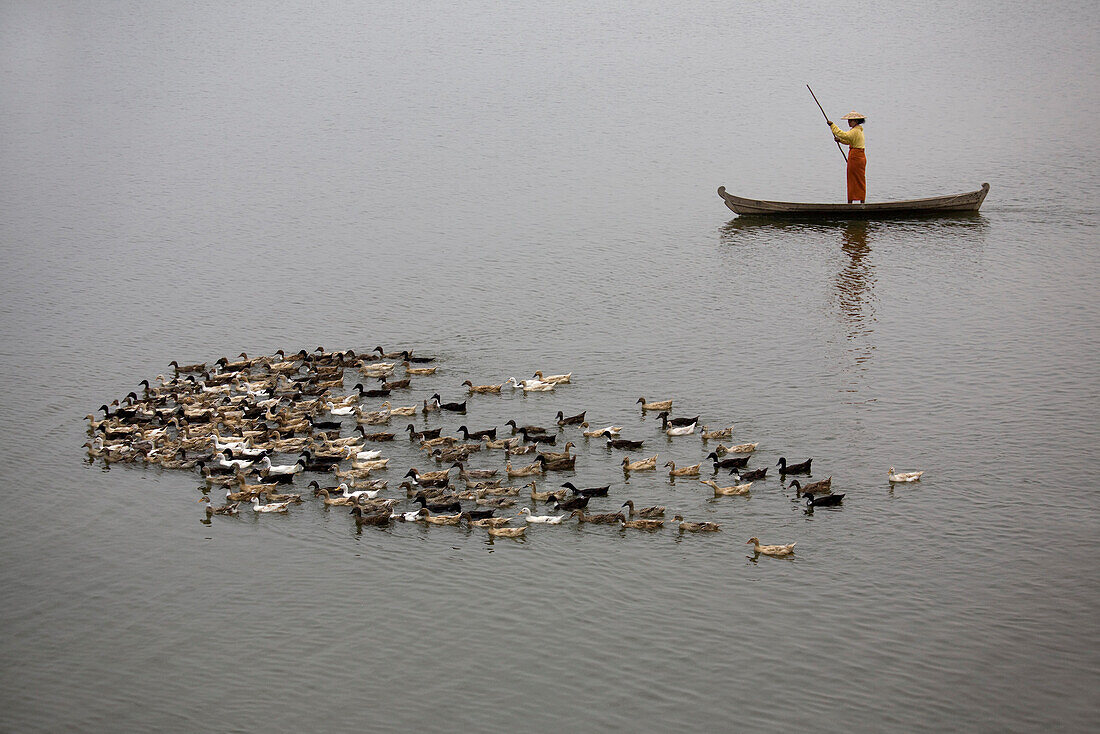 Women in a canoe with simming ducks on Taungthaman Lake in Amarapura near Mandalay, Myanmar, Burma