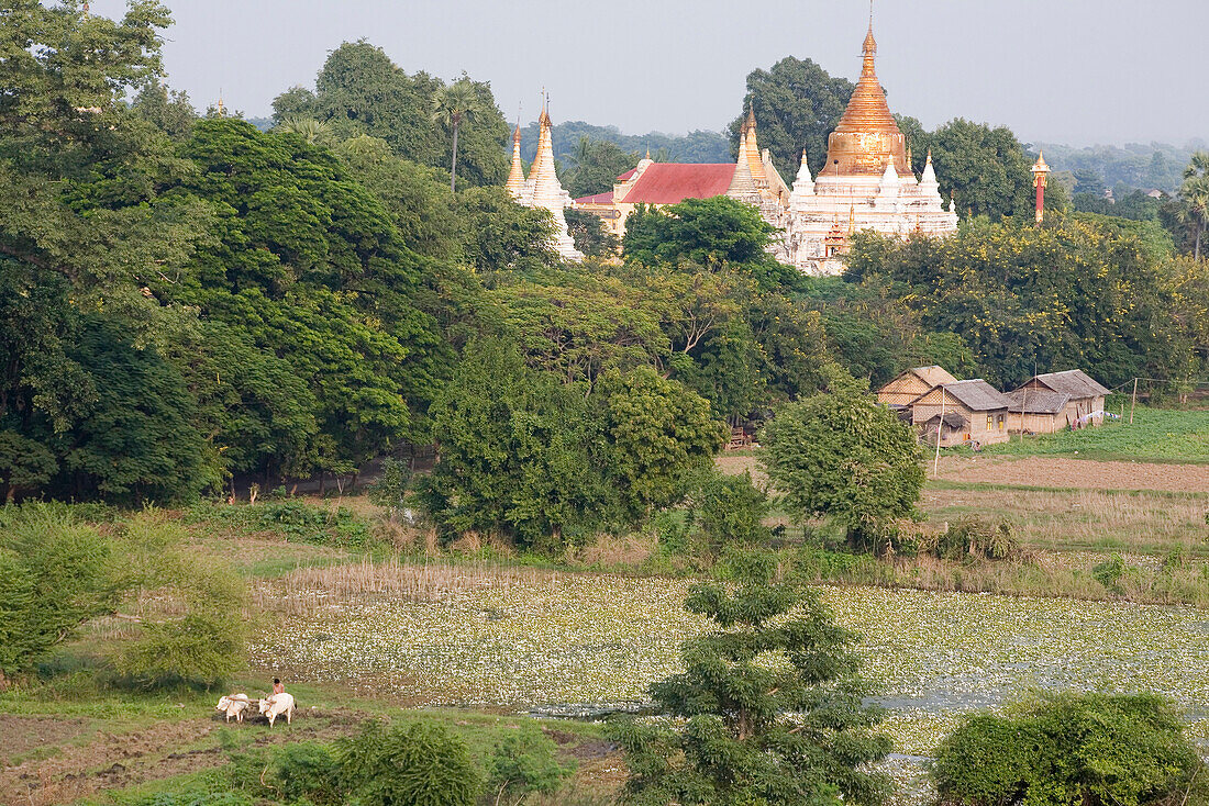 Pagoda on Inwa island ( Ava ) at Ayeyarwady River near Amarapura, Myanmar, Burma