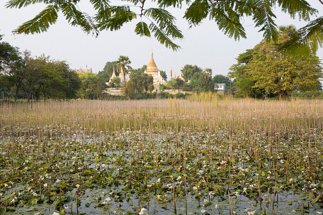 Pagoda on Inwa island ( Ava ) at Ayeyarwady River near Amarapura, Myanmar, Burma