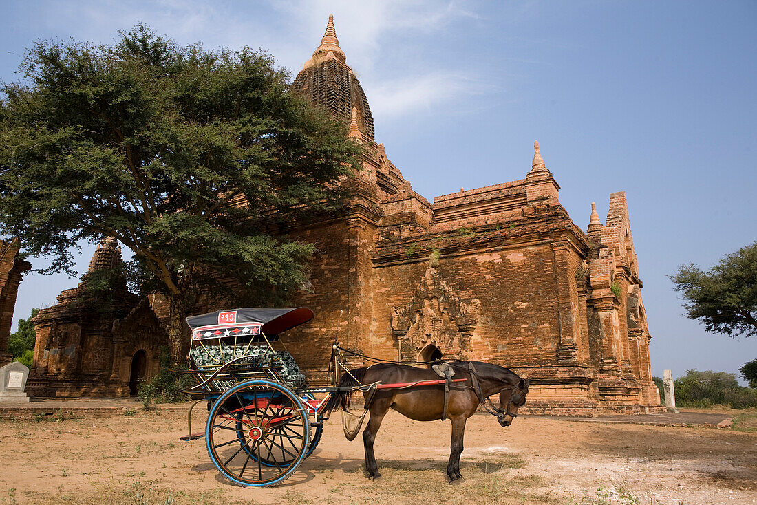 Horse coach in front of a pagode in Bagan, Myanmar, Burma