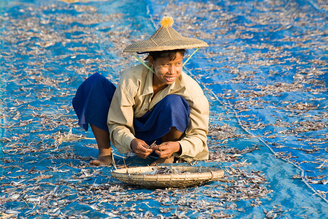 Frau trocknet Fisch am Strand bei Ngapali Beach, am Golf von Bengalen, Rakhine-Staat, Myanmar, Burma