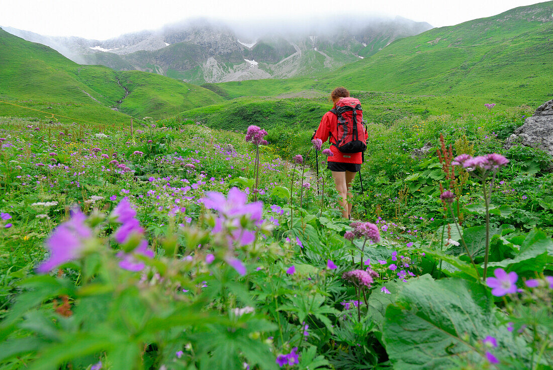 Blumenwiese mit junger Frau, Allgäuer Alpen, Schwaben, Bayern, Deutschland