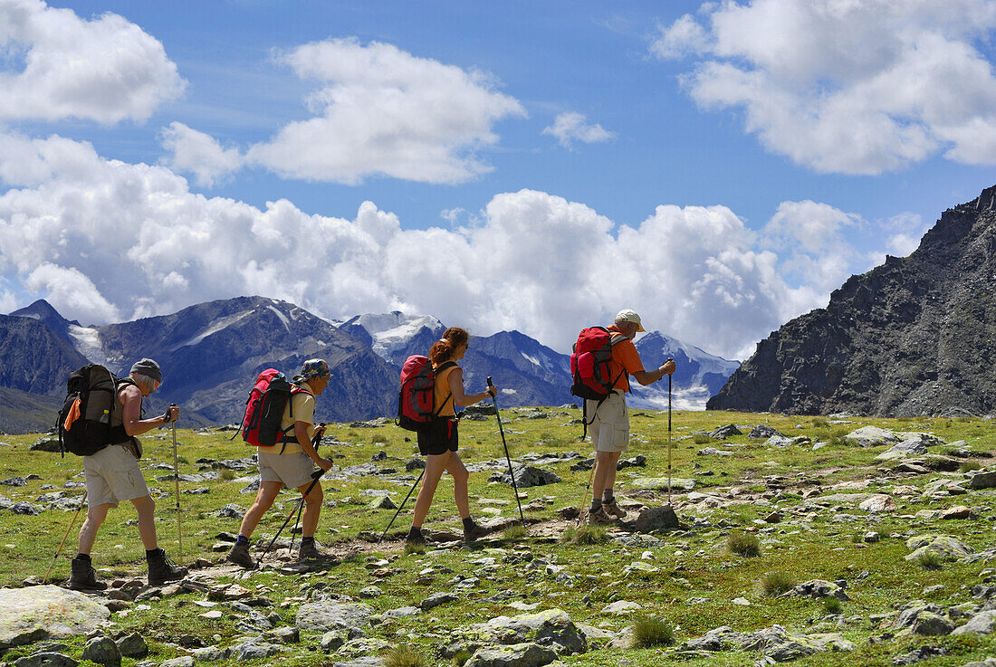 Group of hikers on trail Venter Hoehenweg, Oetztal range, Tyrol, Austria